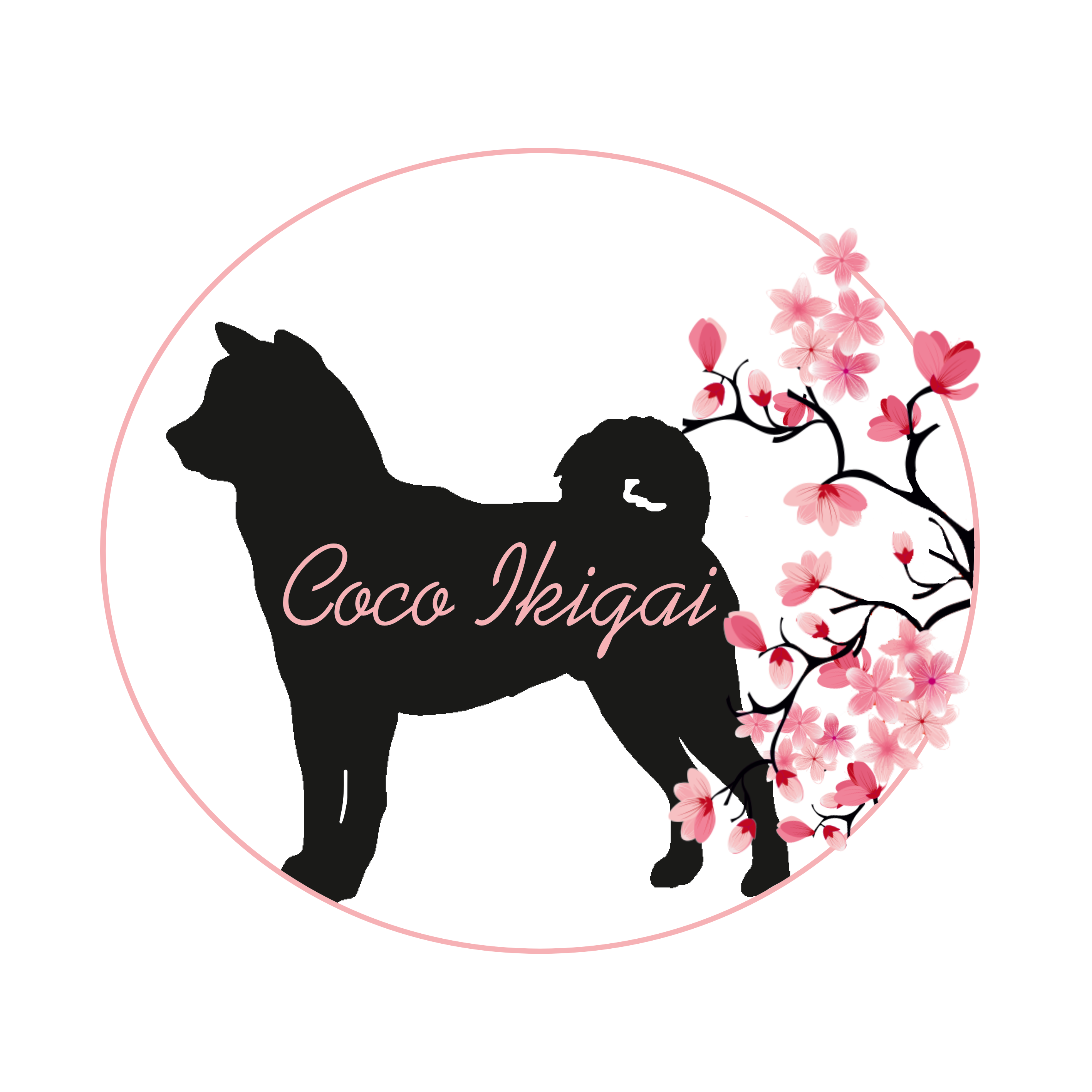 coco ikigai logo new